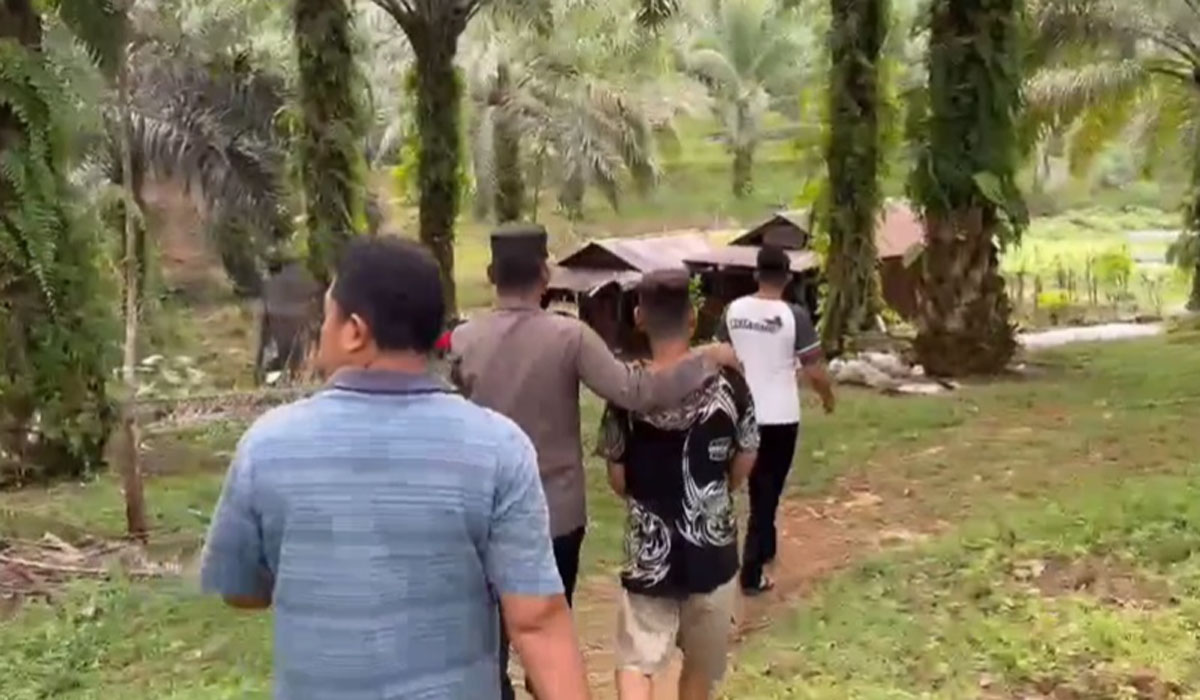 Pria di Sekadau Pacari Anak di Bawah Umur, Lalu Perkosa Korban di Kebun Sawit